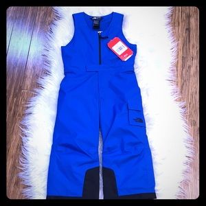 The North Face Snowpants